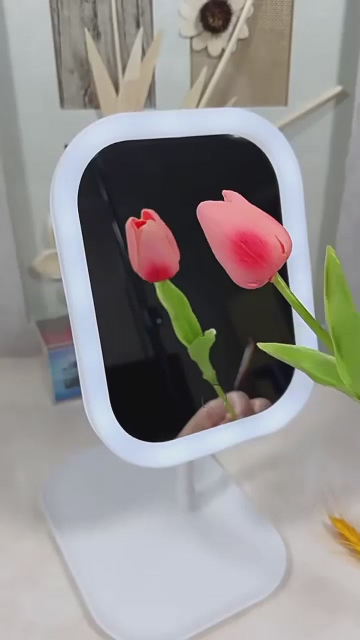 StellaAura Glow Mirror